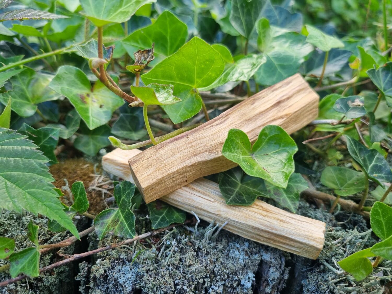 Cacao ceremonie thuis kit - Afbeelding 4